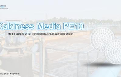 Kaldness Media PE10